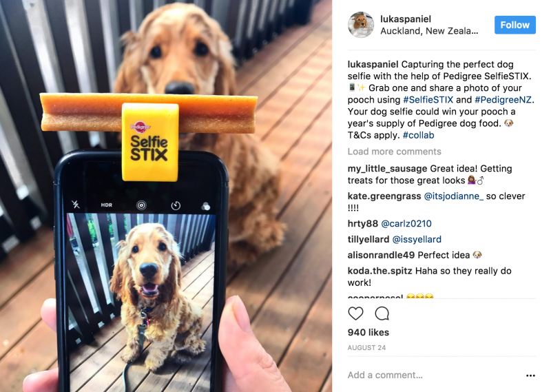 pedigree selfie stix