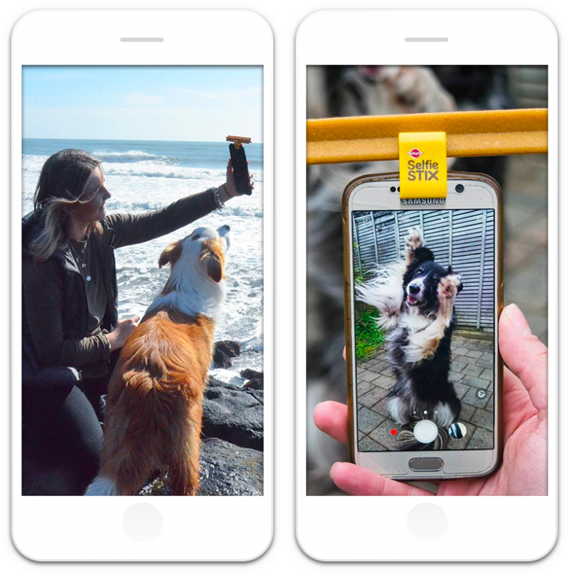 Pedigree selfie outlet stix